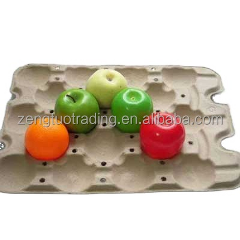 Molded Pulp Packaging Machine Factory - OEM Fruit Apple Tray Making