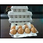 Egg Tray