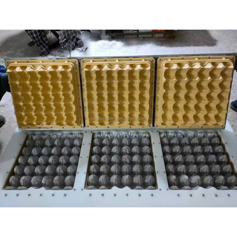 High-efficiency Egg Tray Line Supplier - OEM ZT 4-8 Factory Direct