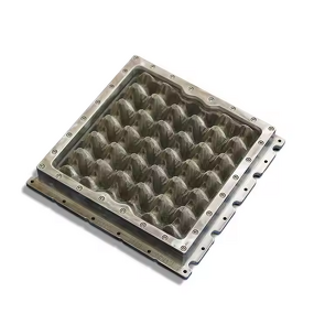 290290mm Egg Tray Mould Supplier - OEM Aluminum Plastic for Small