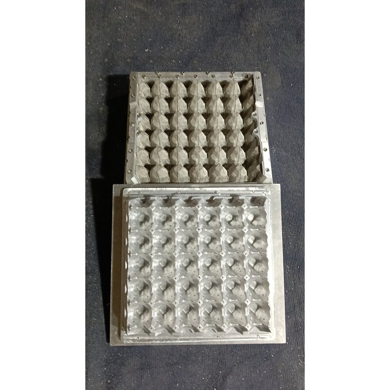 290290mm Egg Tray Mould Supplier - OEM Aluminum Plastic for Small