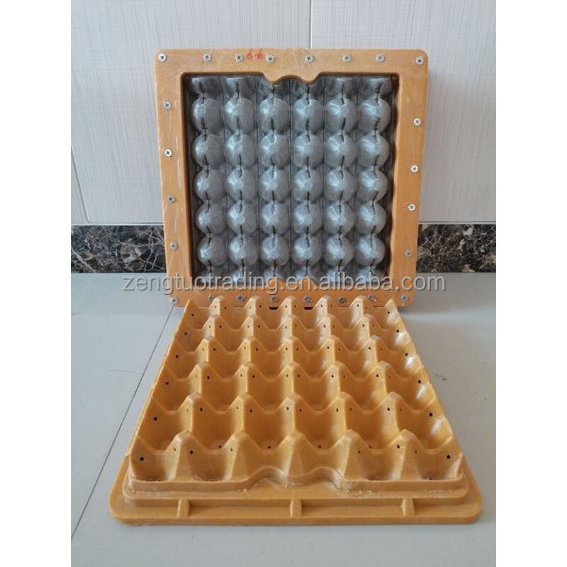 Plastic Egg Tray Mould Supplier - OEM Customized Aluminum Factory
