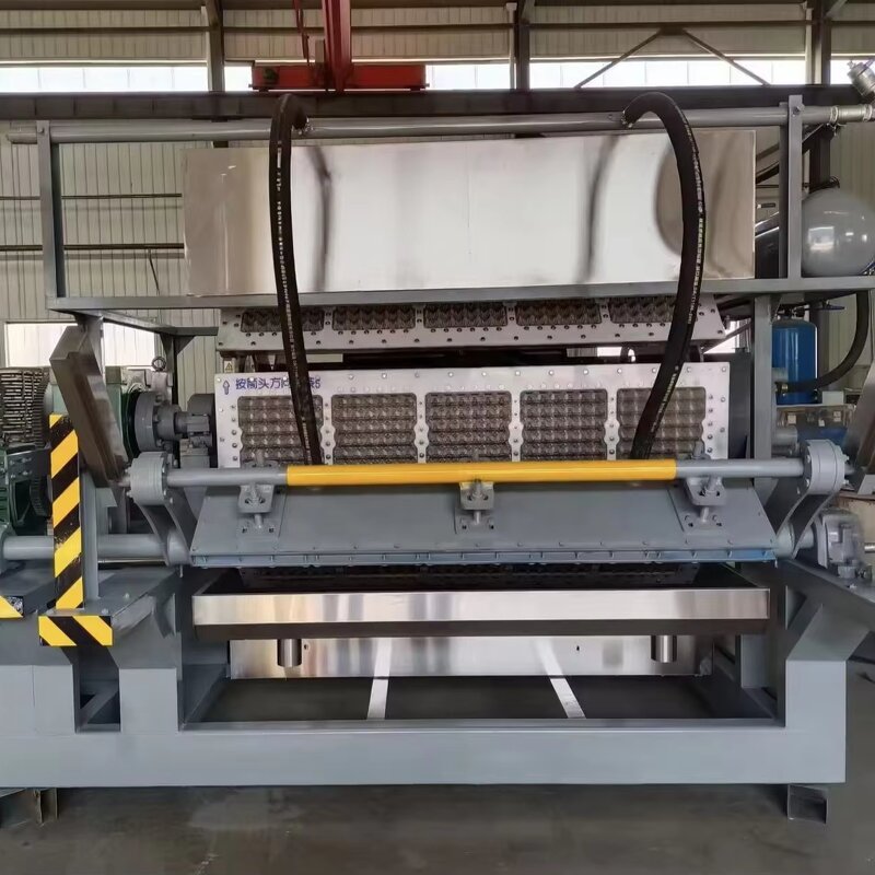 High-efficiency Egg Tray Line Supplier - OEM ZT 4-8 Factory Direct