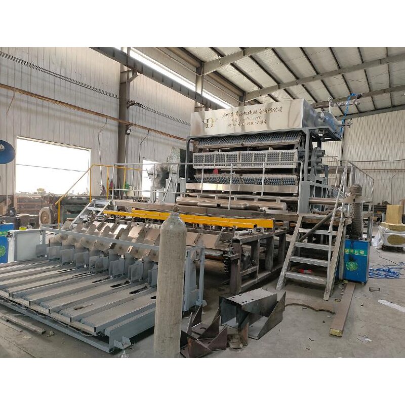 Biodegradable Packaging Machine Supplier - OEM Small Egg Tray Making