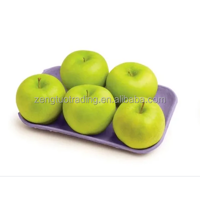 Molded Pulp Packaging Machine Factory - OEM Fruit Apple Tray Making
