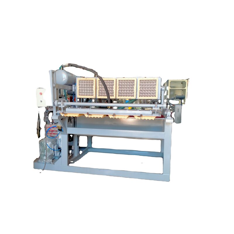 Small-scale Egg Tray Production Line Manufacturer - OEM Shijiazhuang