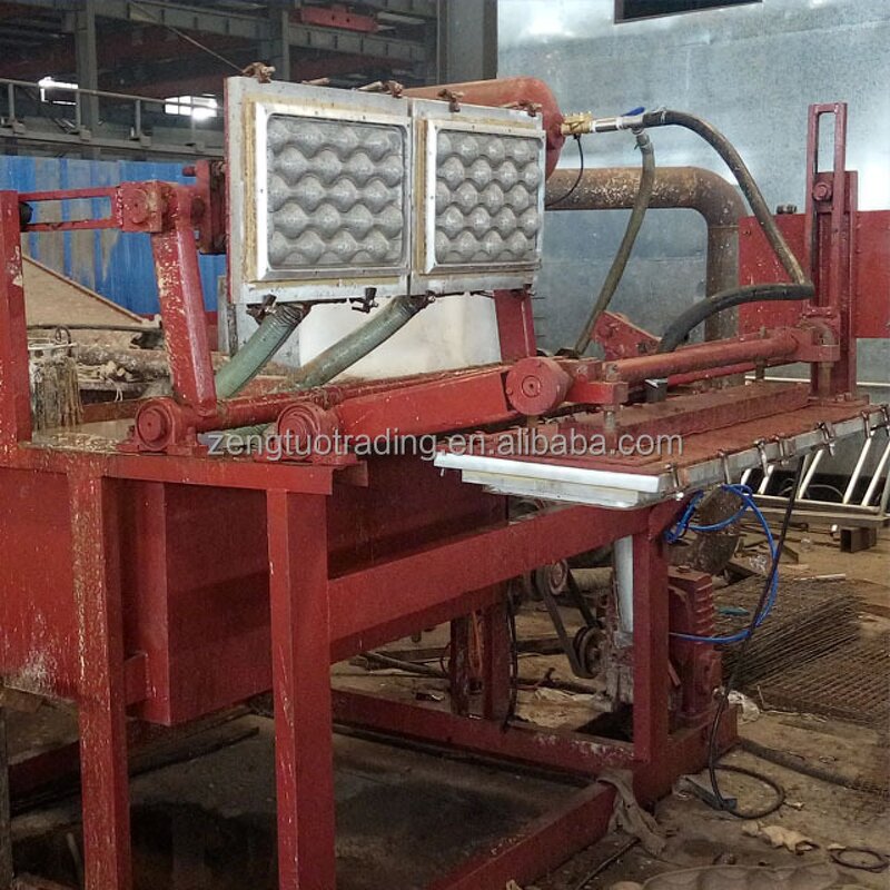 Molded Pulp Packaging Machine Factory - OEM Fruit Apple Tray Making
