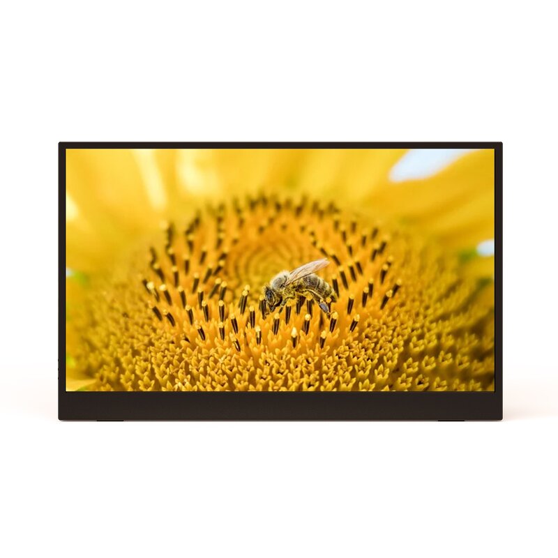LED Screen IPS Display Manufacturer - OEM Ultra Thin 15.6 Inch 1080P