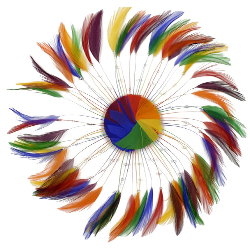Chicken Hackle Feather Plate Supplier - Rainbow Millinery