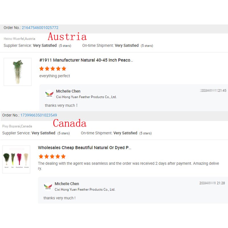 Peacock Feather Supplier - Natural Bark Party Decor