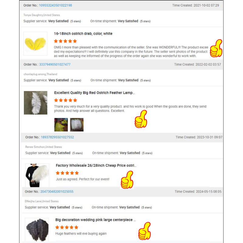 Ostrich Feather Trim Supplier - Dyed Sewing Fringe Ribbon