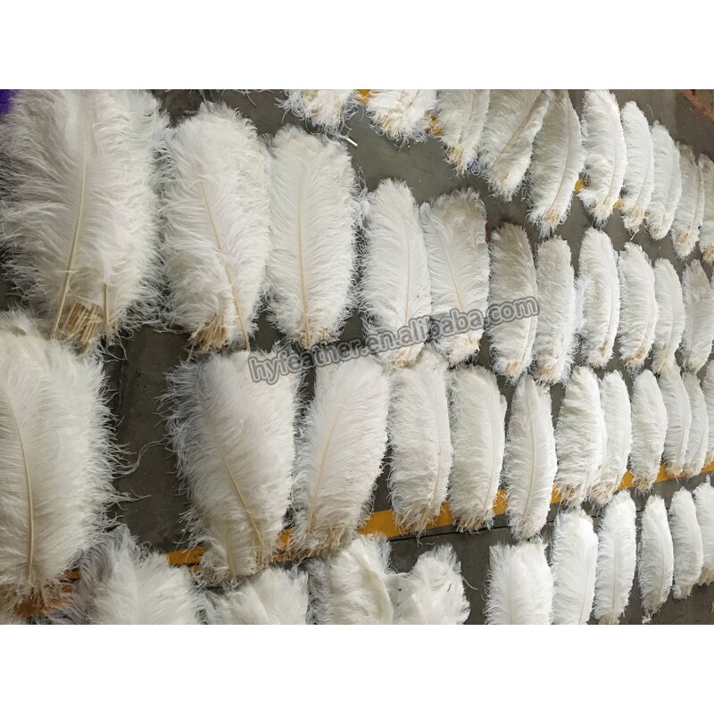 Ostrich Feathers Manufacturer - Bulk Natural Plume Decor