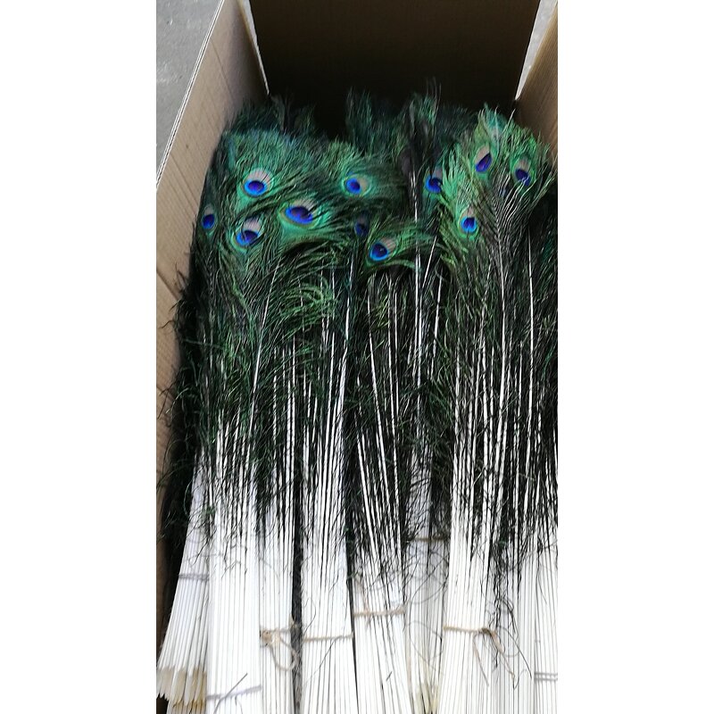 Peacock Feather Factory - Long Natural Wing Vase Decor