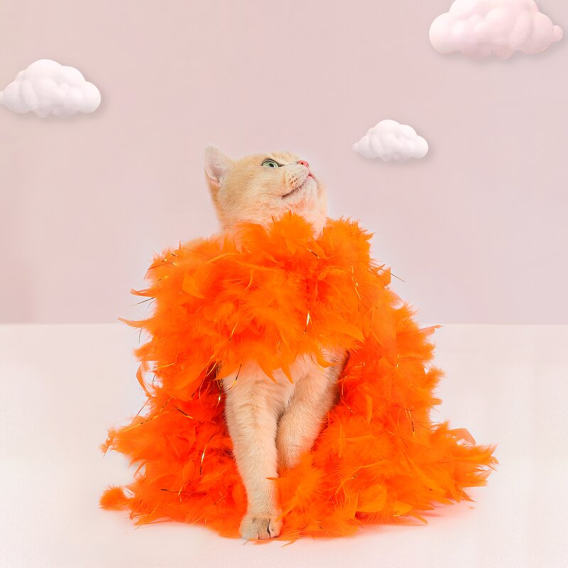 Feather Boa Supplier - Scarf Chandelle Christmas Decor