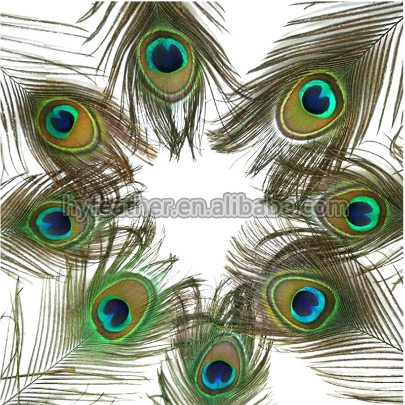 Peacock Feathers Factory - Natural Eye Party Decor