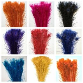 Peacock Feather Supplier - Dyed Natural Party Decor