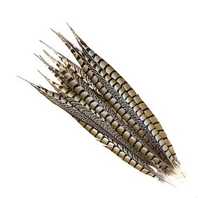 Artificial Pheasant Feathers Manufacturer - Carnival Jewelry