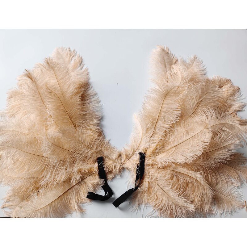 Fairy Angel Wings Supplier - Dyed Pink Party Costume