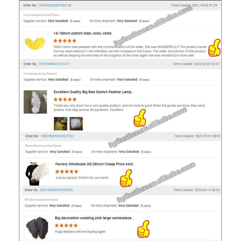 Ostrich Feathers Manufacturer - Bulk Natural Plume Decor