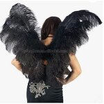 Feather Wings
