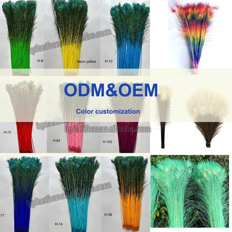 Peacock Feather Factory - Long Natural Wing Vase Decor