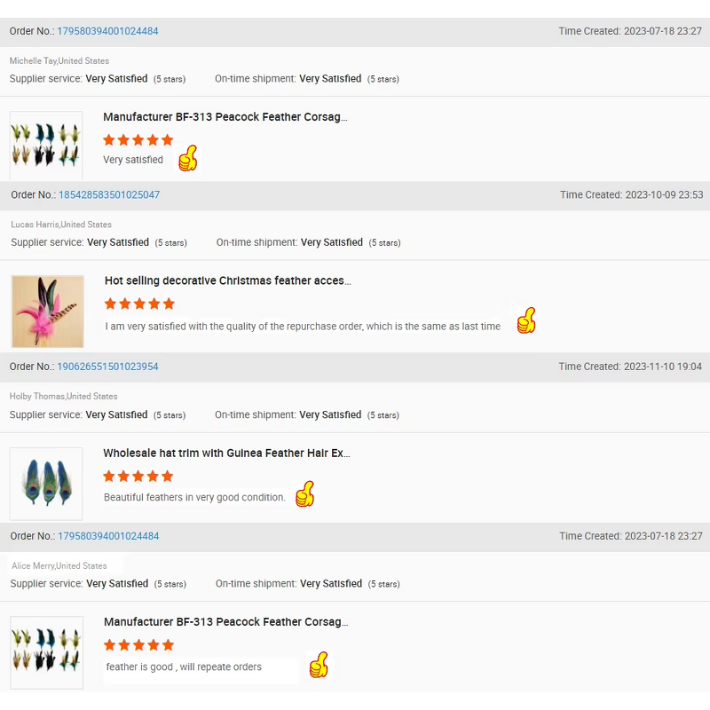 Hat Feather Trim Pin Supplier - OEM/ODM Custom