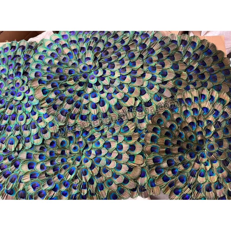 Peacock Feather Placemats Manufacturer - Real Large Eyes Decor