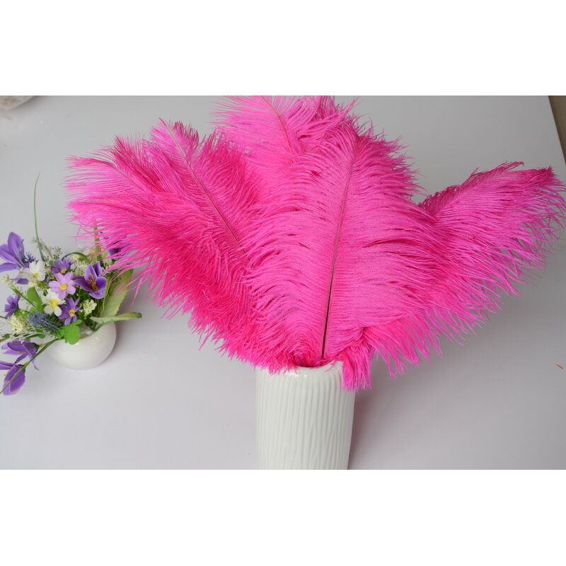 Ostrich Feather Fan Factory - Large Pink Women Party