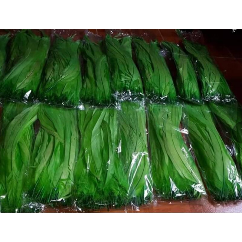 Rooster Feather Fringe Factory - Sewing Green Trim Custom