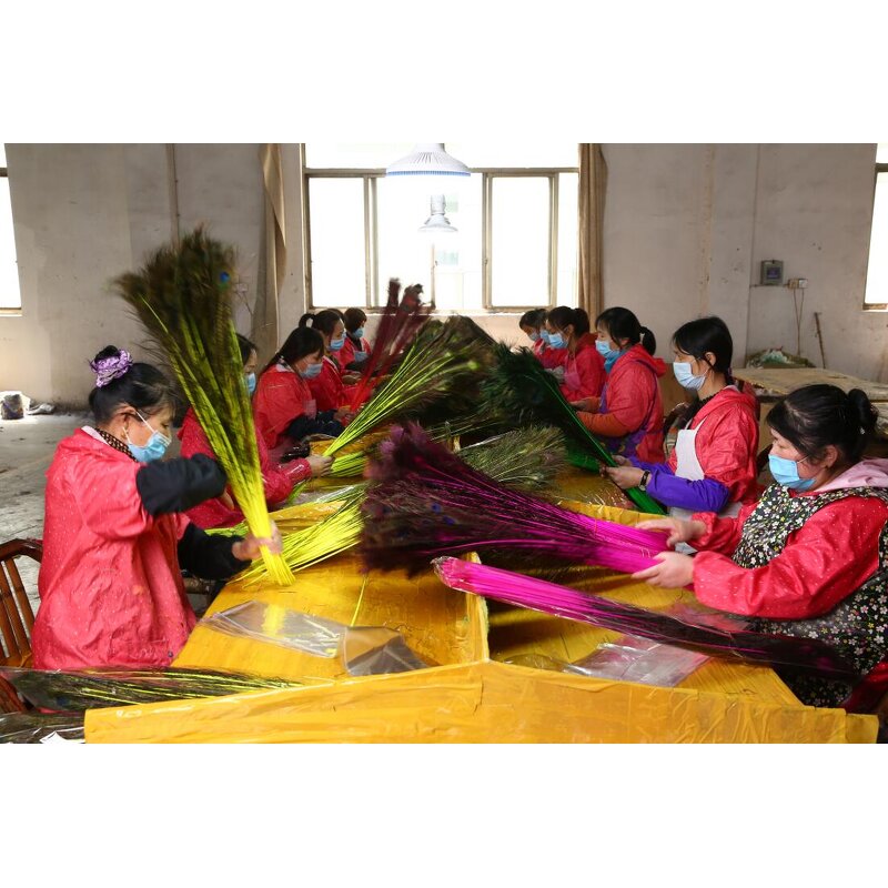 Peacock Feather Supplier - Dyed Natural Party Decor