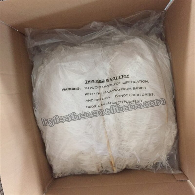 Ostrich Feathers Manufacturer - Bulk Natural Plume Decor