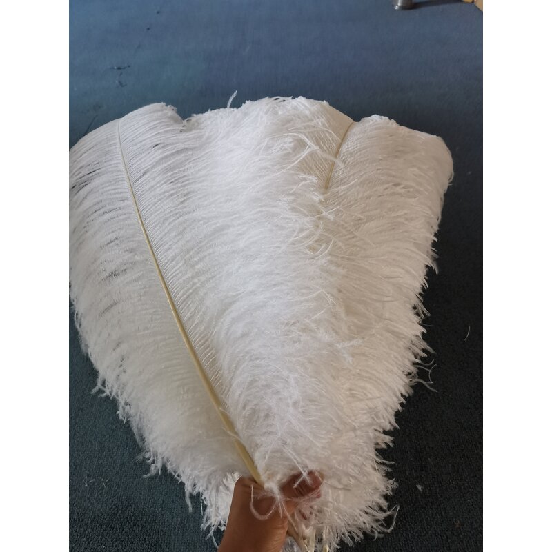Ostrich Feathers Manufacturer - Bulk Natural Plume Decor