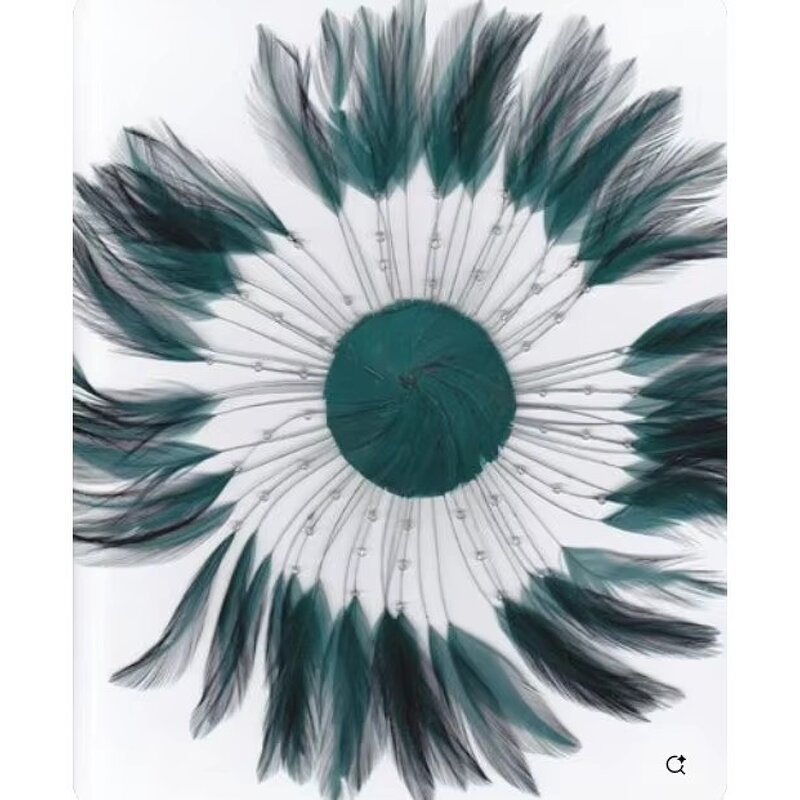 Chicken Hackle Feather Plate Supplier - Black Costume DIY