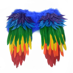 Fairy Angel Wings Supplier - Kids Feather Costume Accessory