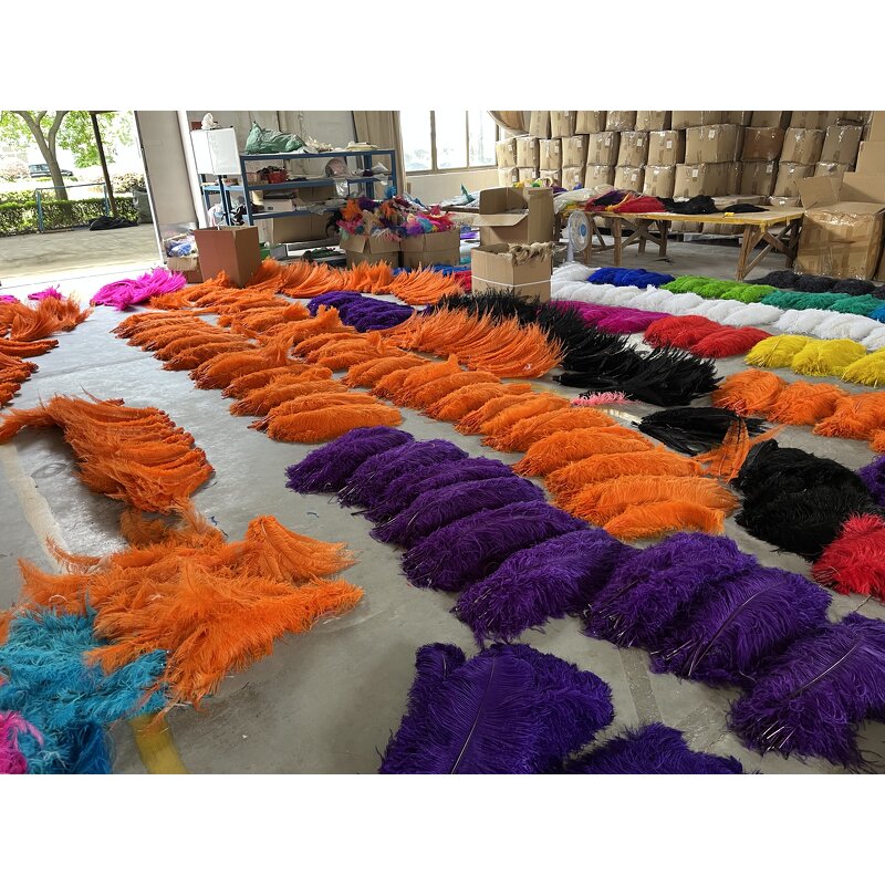 Ostrich Feather Supplier - Eco-friendly Bulk Backdrop Decor