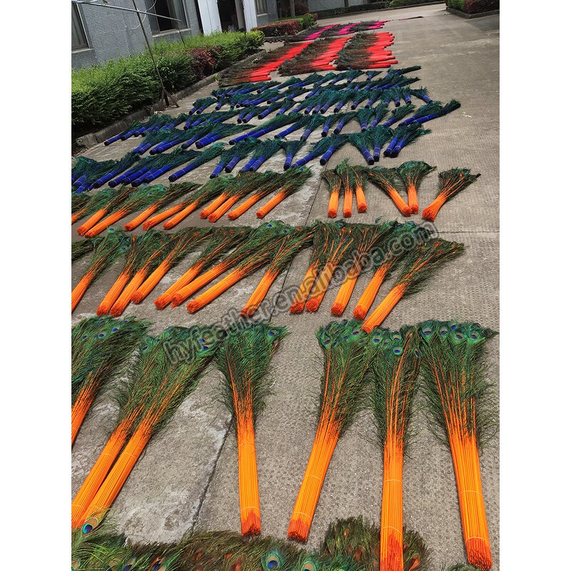 Peacock Feather Factory - Long Natural Wing Vase Decor