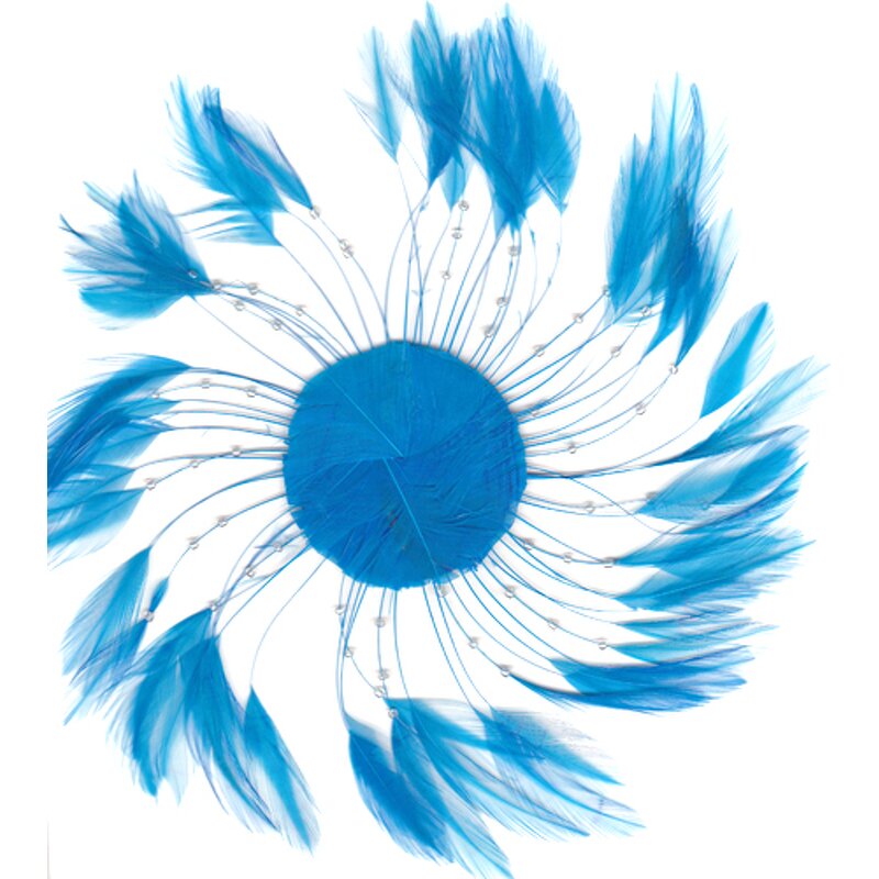 Chicken Hackle Feather Plate Factory - Rooster Millinery Craft