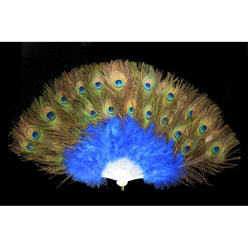 Peacock Feather Hand Fan Supplier - Wholesale Held Fan