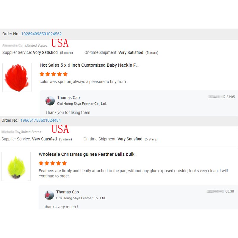 Feather Pads Supplier - Natural Millinery Hair Clip Custom