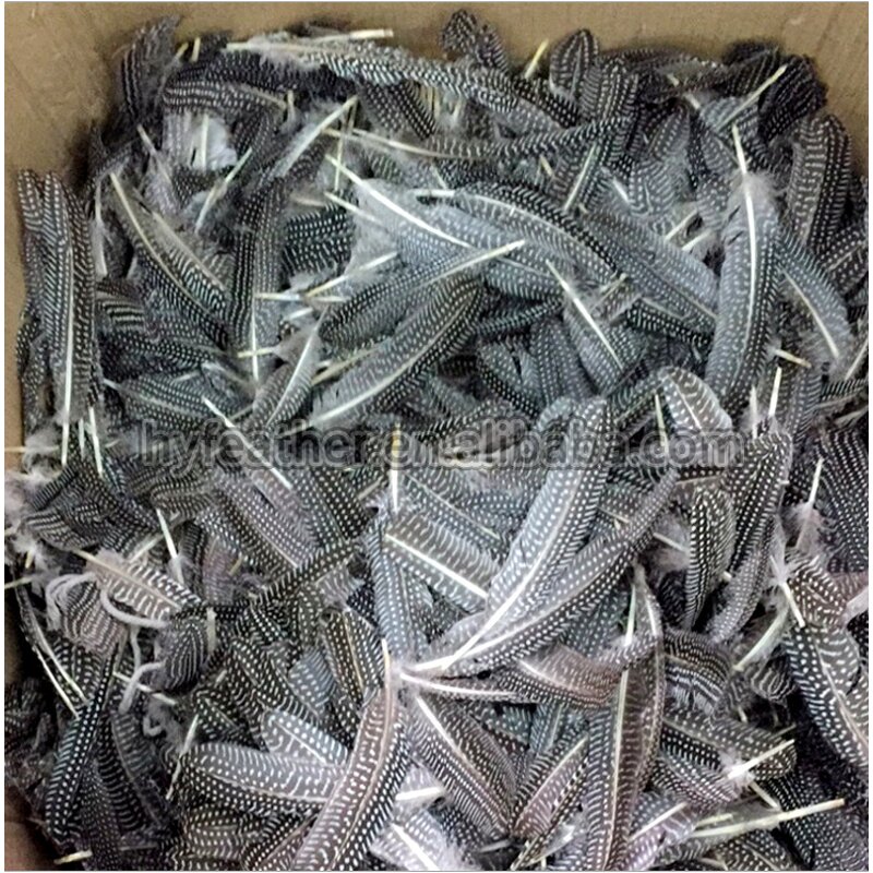 Guinea Fowl Feather Quills Manufacturer - Bulk Dyed Decor