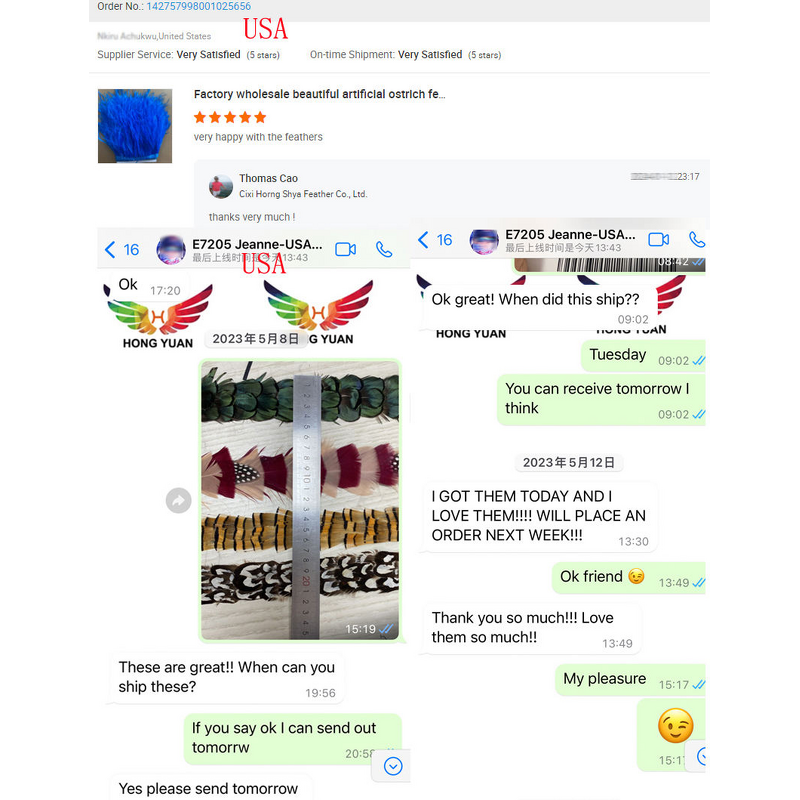 Ostrich Feather Trim Factory - Mint Sewing Ribbon Custom