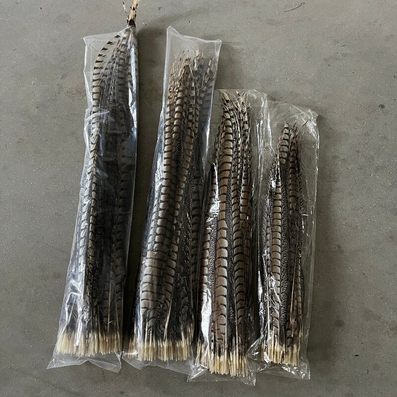 Artificial Pheasant Feather Manufacturer - Long Tail Costume