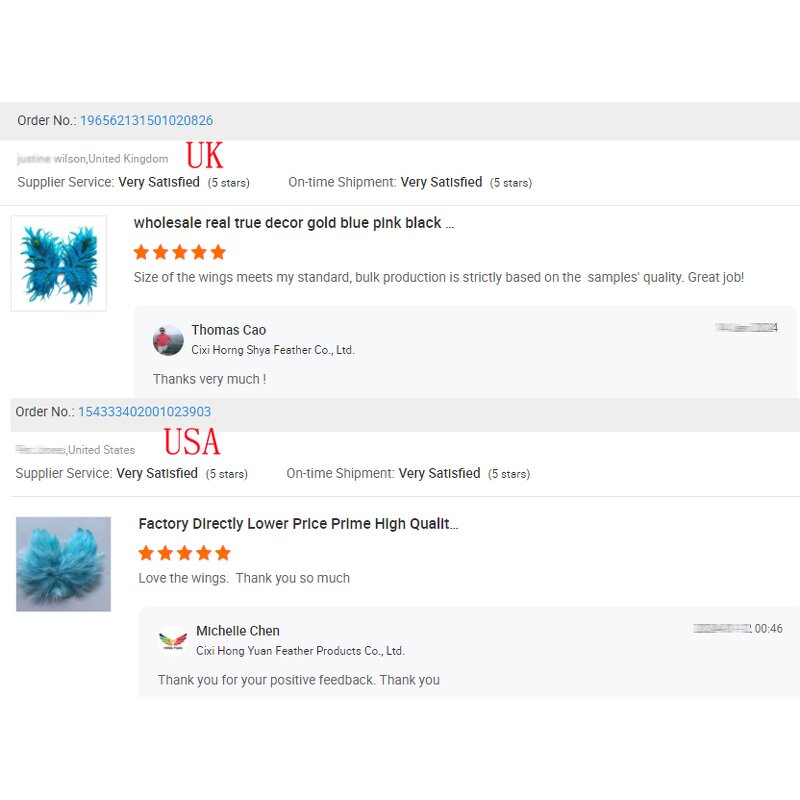 Rooster Feather Angel Wing Supplier - Beautiful Halloween