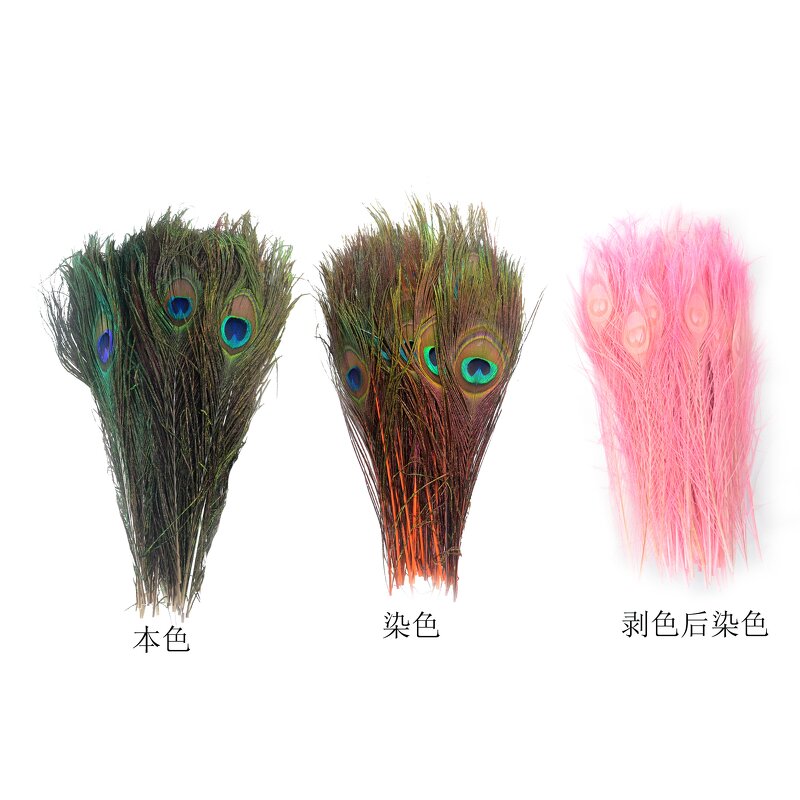 Peacock Feather Supplier - Dyed Large Party Decor