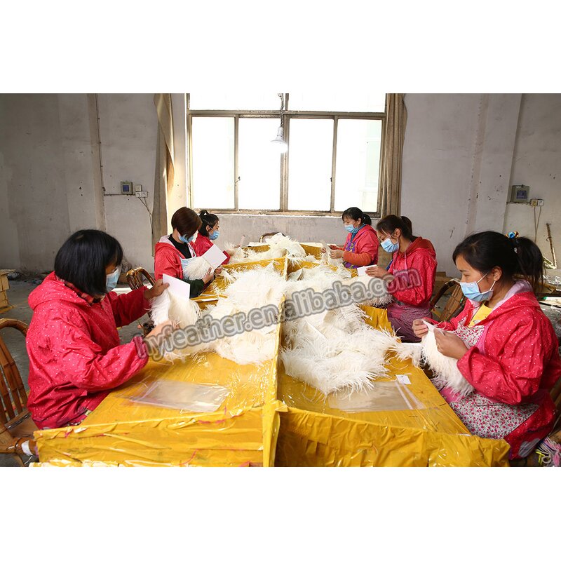 Ostrich Feather Trim Manufacturer - Handmade Sewing Ribbon