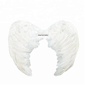 Fairy Feather Wings Supplier - Dyed White Costume Party