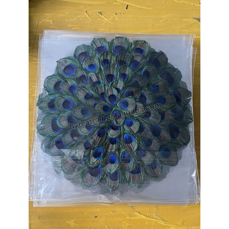 Peacock Feather Placemats Manufacturer - Real Large Eyes Decor