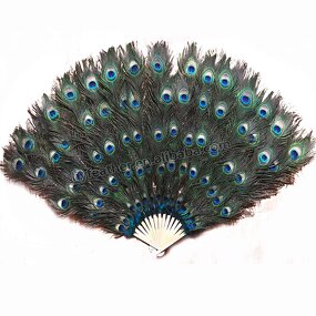 Peacock Feather Hand Fan Supplier - Wholesale Held Fan