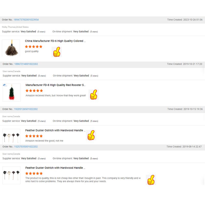 Ostrich Feather Duster Manufacturer - Eco-friendly Reusable