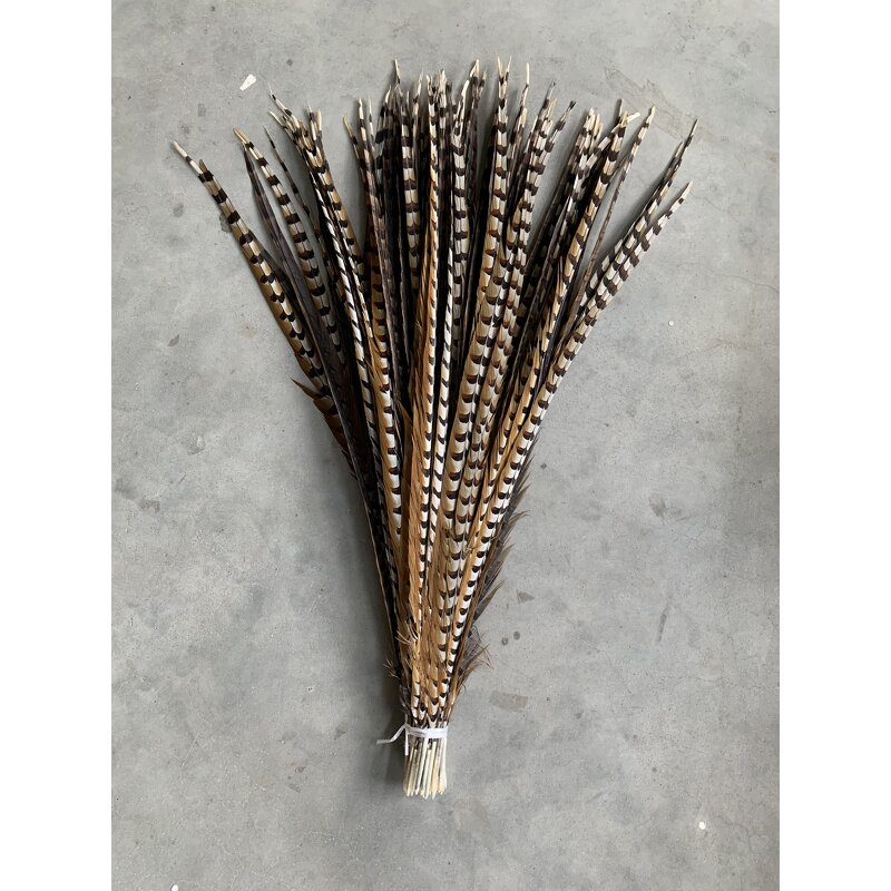 Artificial Pheasant Feathers Manufacturer - Carnival Jewelry
